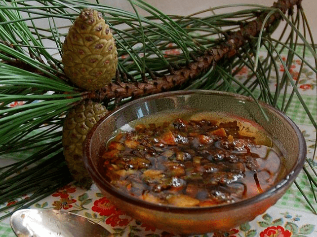 Ρύθμιση πεύκου